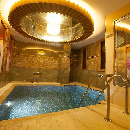 Beethoven - Special Category 3* Istambul
