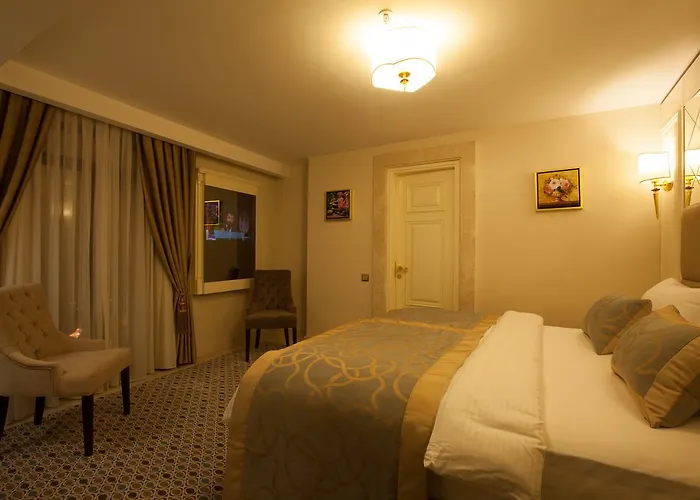 Paleria - Special Category איסטמבול